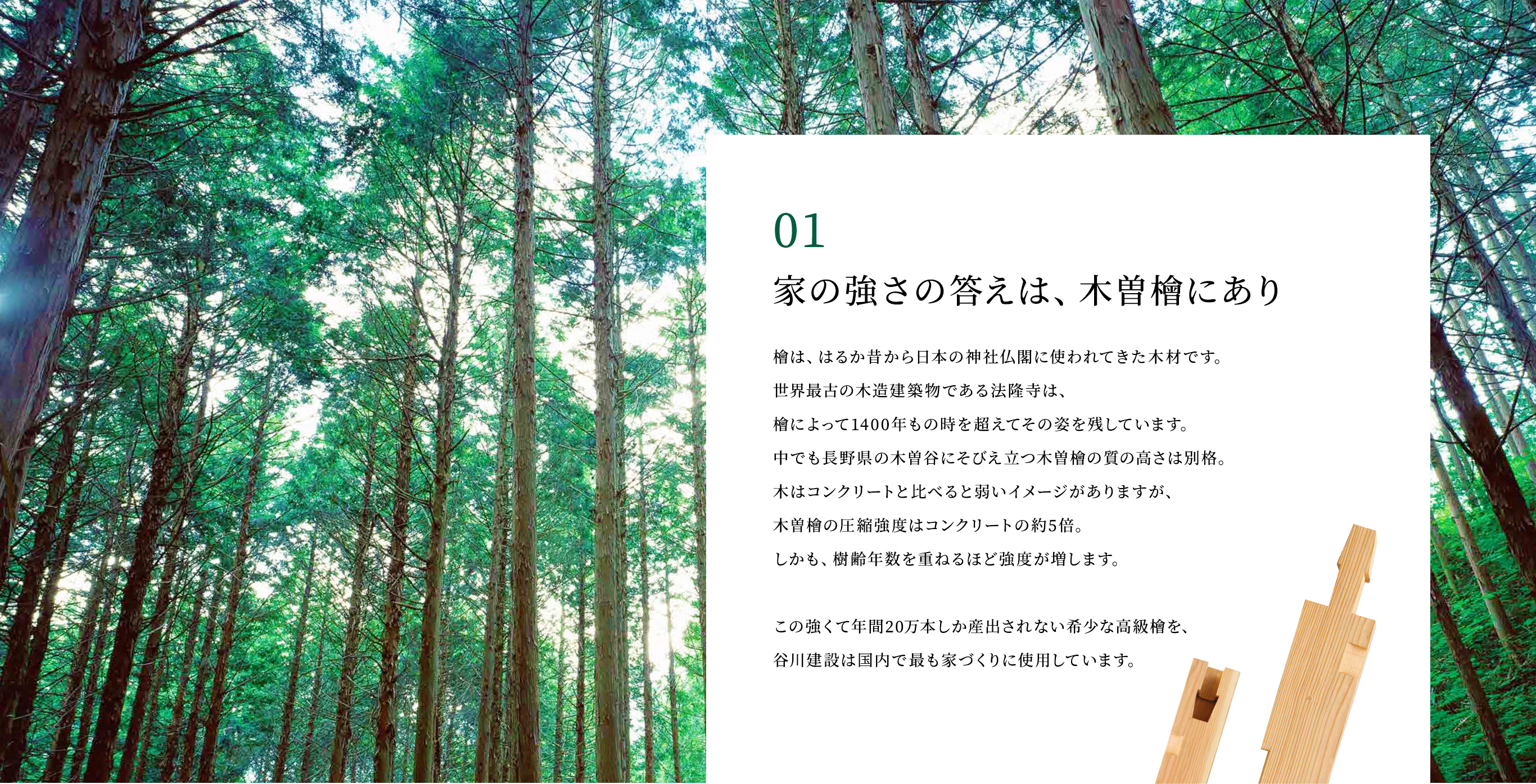 「01.家の強さの答えは、木曽檜にあり」檜は、はるか昔から日本の神社仏閣に使われてきた木材です。世界最古の木造建築物である法隆寺は、檜によって1400年もの時を超えてその姿を残しています。中でも長野県の木曽谷にそびえ立つ木曽檜の質の高さは別格。木はコンクリートと比べると弱いイメージがありますが、木曽檜の圧縮強度はコンクリートの約5倍。しかも、樹齢年数を重ねるほど強度が増します。この強くて年間20万本しか産出されない希少な高級檜を、谷川建設は国内で最も家づくりに使用しています。